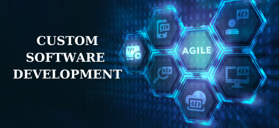 Custom Software